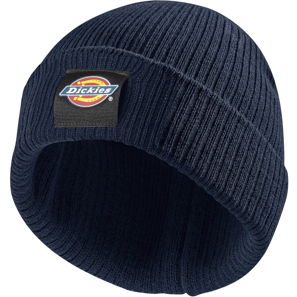 Dickies Evadale Logo Beanie - 5 Colour Options