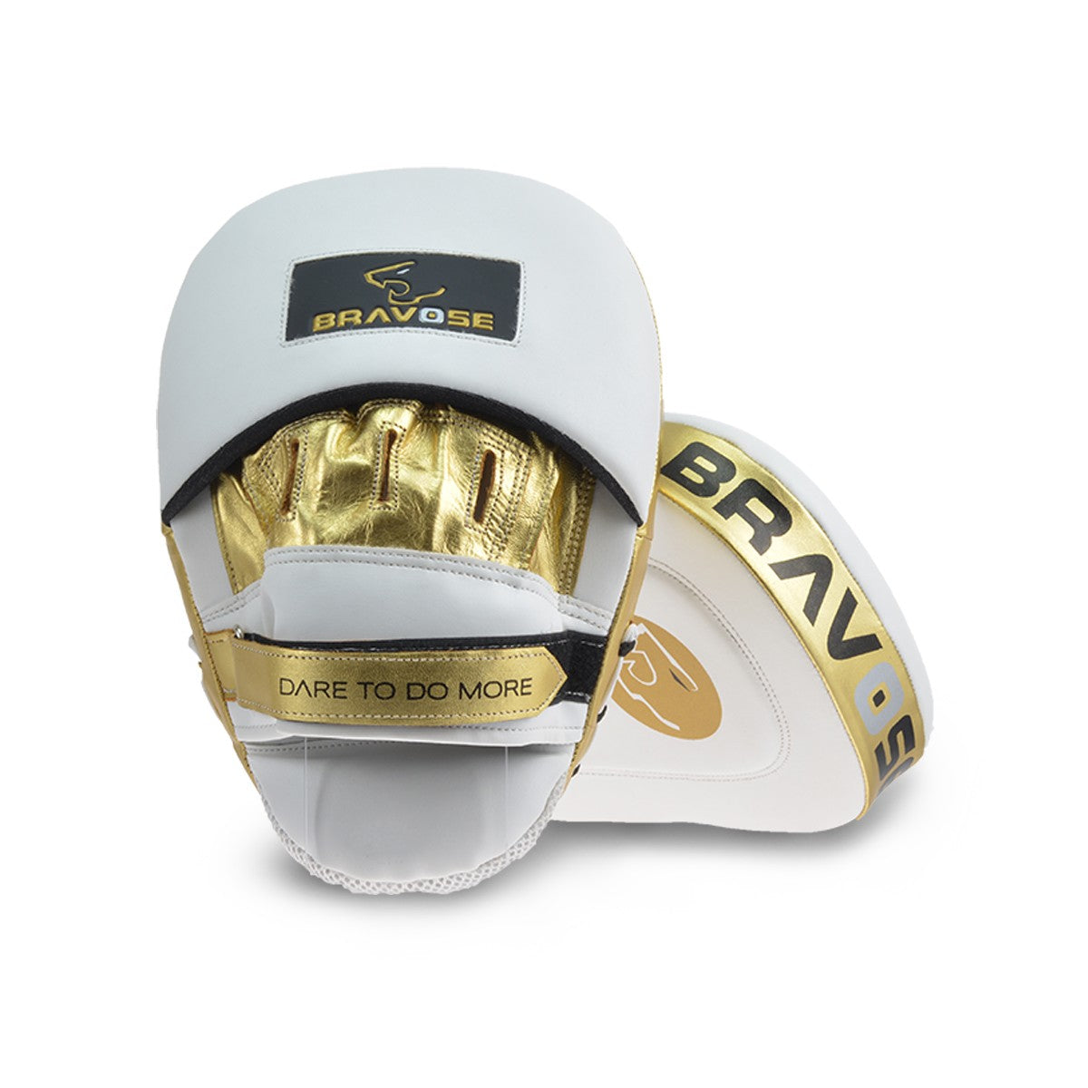 Boxing MMA Elite Leather Focus Mitts