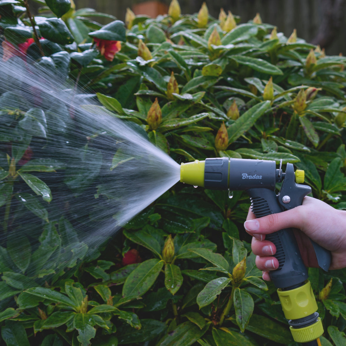 Adjustable Flow Hosepipe Sprayer Grey & Lime