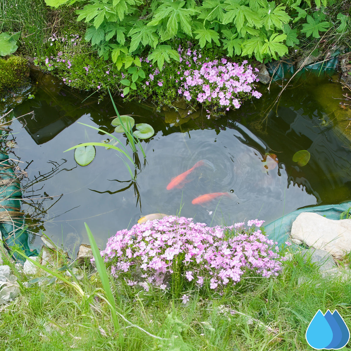 5m x 6m Black Pond Liner - L Grade 200 GSM