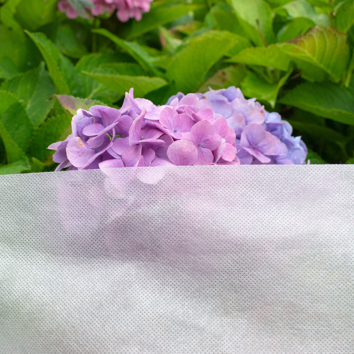 50gsm Non-Woven Frost Protection Fleece 1.1m x 5m