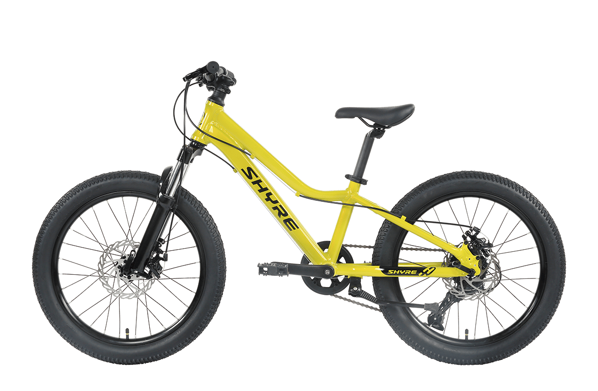 20" Wheel Kids Mountain Bike Shyre Eastie - 3 Colour Options