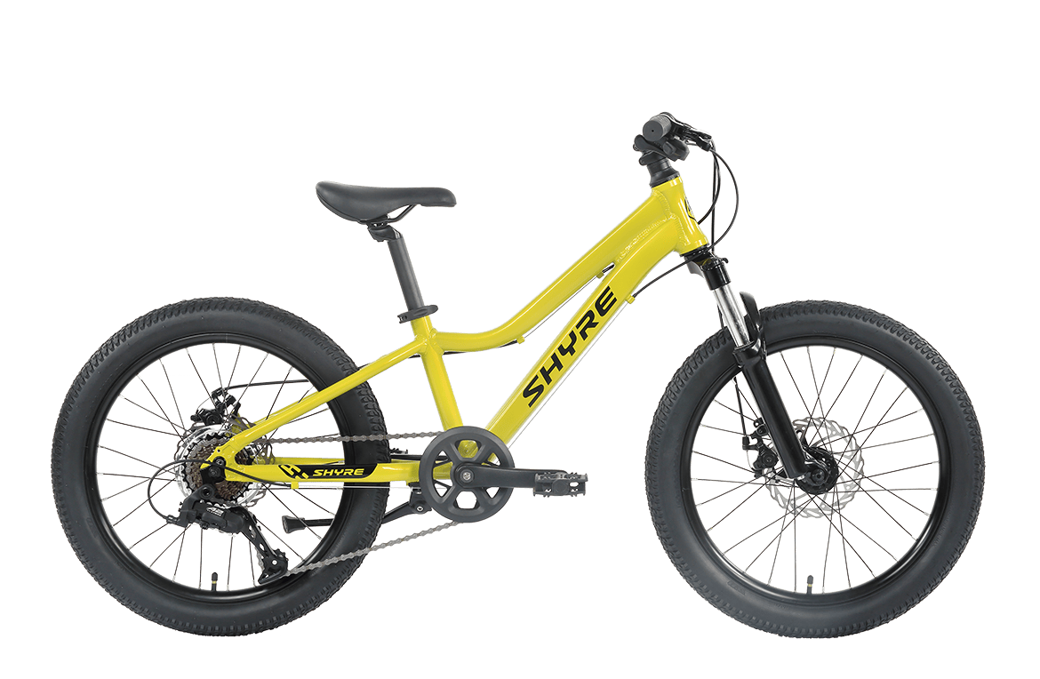 20" Wheel Kids Mountain Bike Shyre Eastie - 3 Colour Options