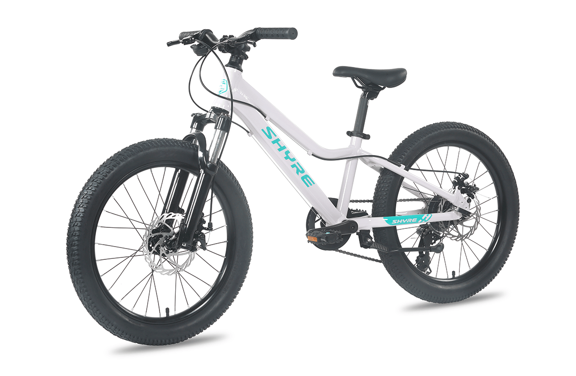 20" Wheel Kids Mountain Bike Shyre Eastie - 3 Colour Options