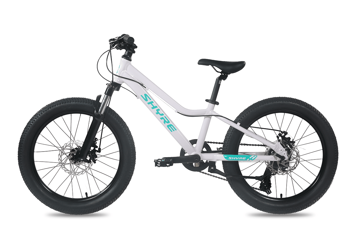 20" Wheel Kids Mountain Bike Shyre Eastie - 3 Colour Options