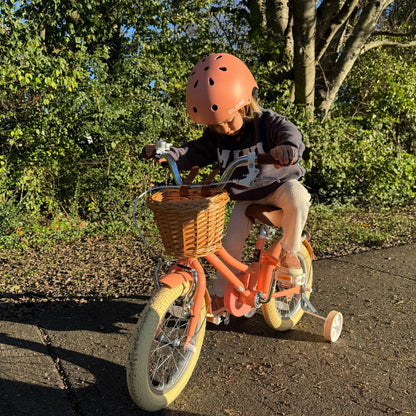 Glerc 14 Inch Kids Bike For 3 - 5 Years Old - 7 Colour Options