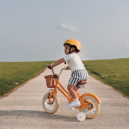 Glerc 16 Inch Kids Bike For 4 - 8 Years Old - 7 Colour Options