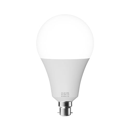 LED Bayonet A95 22W Energy Saving Bulb