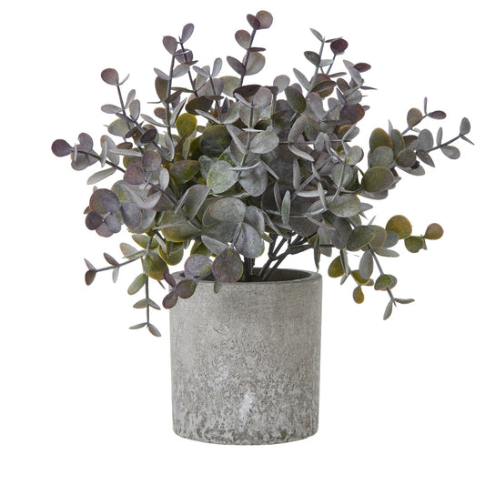 Small Eucalyptus Cinerea Plant In Grey Pot Artificial Flower Stem