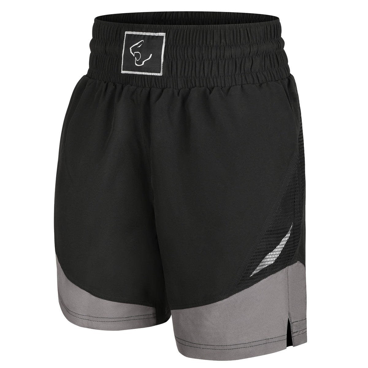 Titan Grip Legacy Boxing Shorts