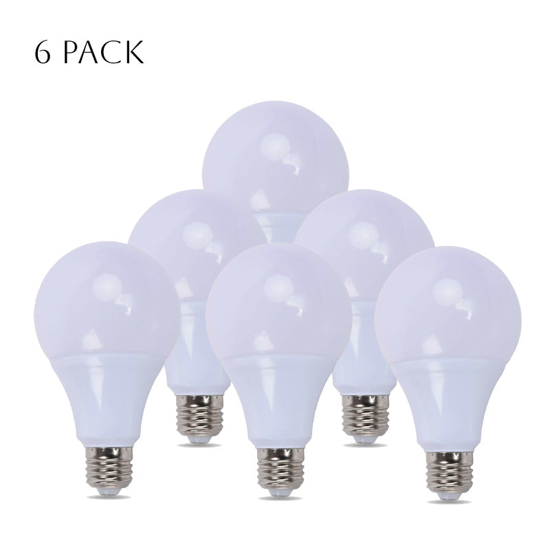 LED A60 E27 25W CoolWhite 6000K Non-Dimmable GLS Bulb (Energy Saving )