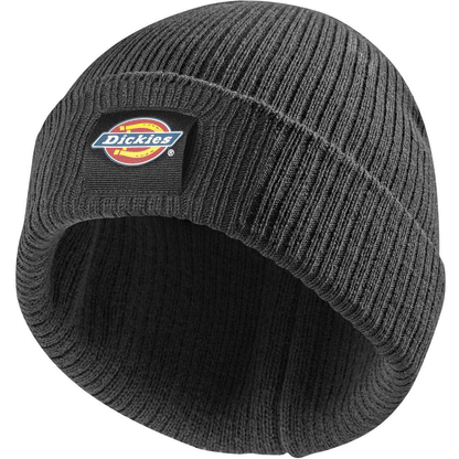 Dickies Evadale Logo Beanie - 5 Colour Options
