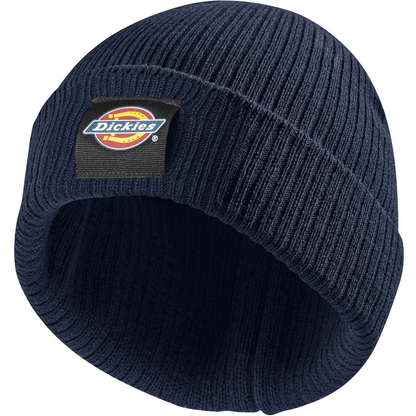 Dickies Evadale Logo Beanie - 5 Colour Options