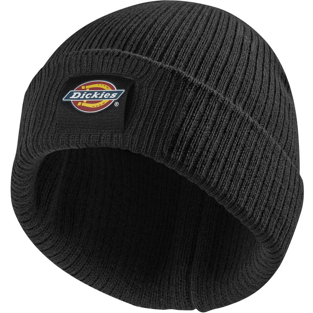 Dickies Evadale Logo Beanie - 5 Colour Options