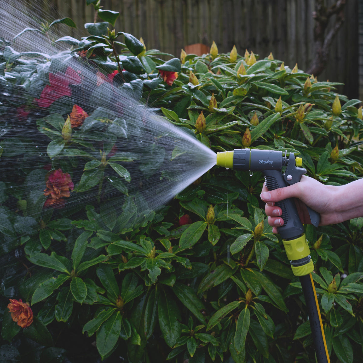 Adjustable Flow Hosepipe Sprayer Grey & Lime