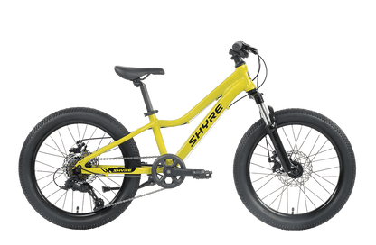 20" Wheel Kids Mountain Bike Shyre Eastie - 3 Colour Options