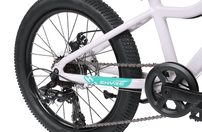 20" Wheel Kids Mountain Bike Shyre Eastie - 3 Colour Options