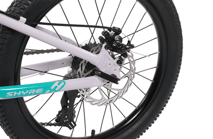 20" Wheel Kids Mountain Bike Shyre Eastie - 3 Colour Options