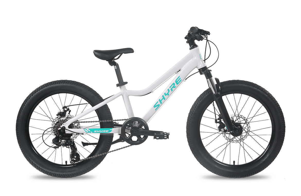 20" Wheel Kids Mountain Bike Shyre Eastie - 3 Colour Options
