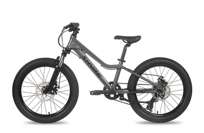 20" Wheel Kids Mountain Bike Shyre Eastie - 3 Colour Options