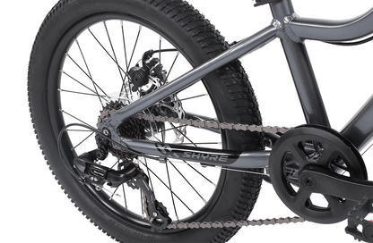 20" Wheel Kids Mountain Bike Shyre Eastie - 3 Colour Options