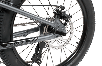 20" Wheel Kids Mountain Bike Shyre Eastie - 3 Colour Options